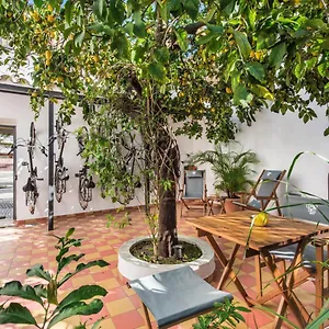 Bed & Breakfast Lemon Tree, Distretto di Faro